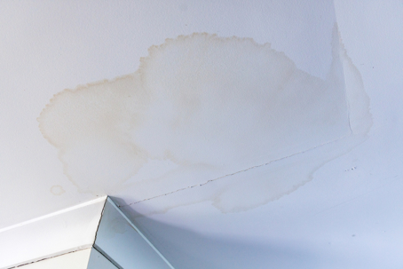 leak marks on the ceiling
